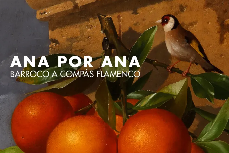 Cartel de la obra Ana por Ana. Barroco a compás flamenco en Teatro de la Comedia, Madrid